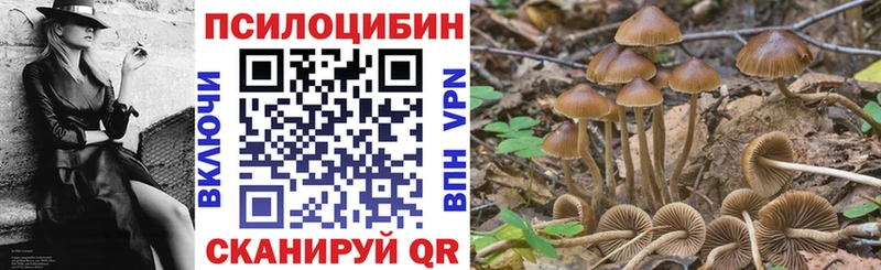 хочу наркоту  Прохладный  Псилоцибиновые грибы Magic Shrooms 